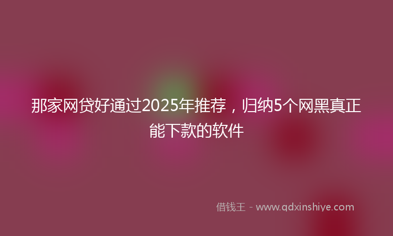 那家网贷好通过2025年推荐，归纳5个网黑真正能下款的软件