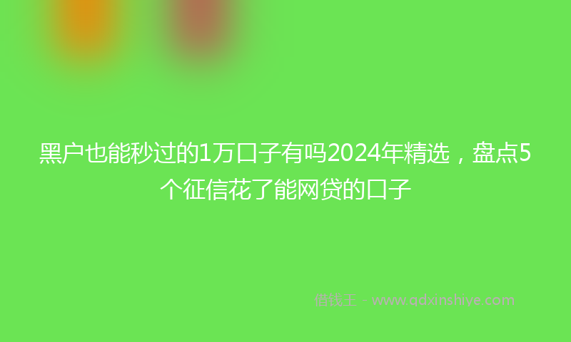黑户也能秒过的1万口子有吗2024年精选，盘点5个征信花了能网贷的口子