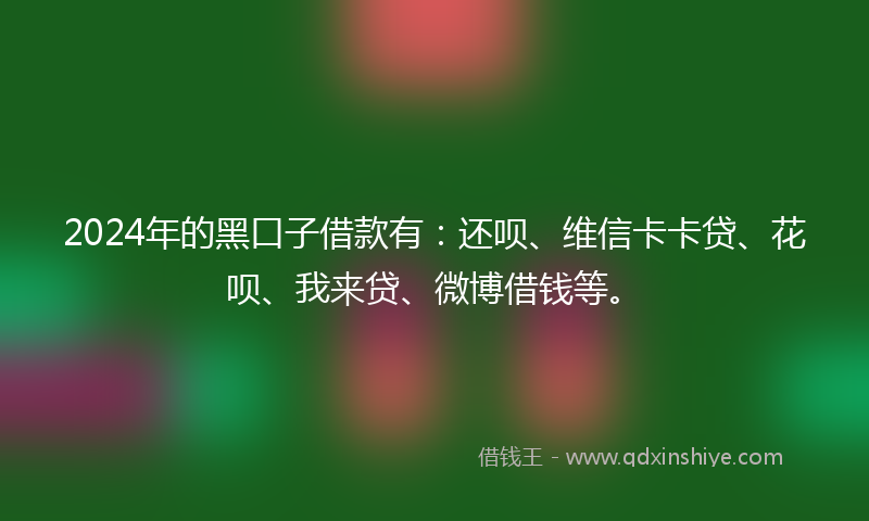 2024年的黑口子借款有：还呗、维信卡卡贷、花呗、我来贷、微博借钱等。