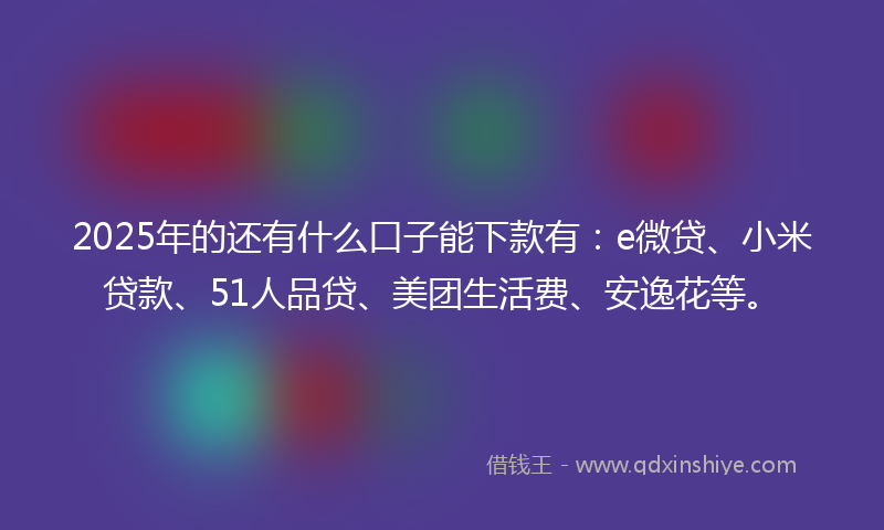 2025年的还有什么口子能下款有：e微贷、小米贷款、51人品贷、美团生活费、安逸花等。