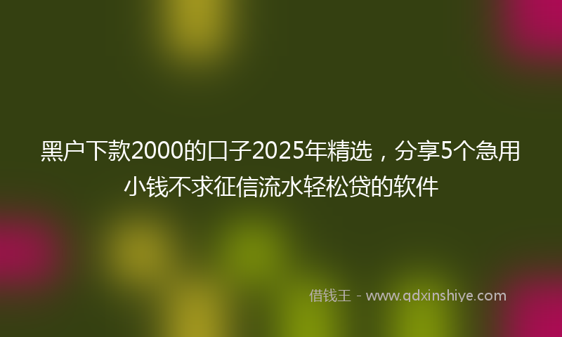 黑户下款2000的口子2025年精选，分享5个急用小钱不求征信流水轻松贷的软件
