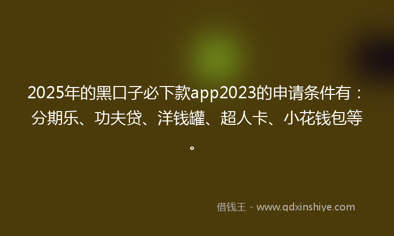 2025年的黑口子必下款app2023的申请条件有：分期乐、功夫贷、洋钱罐、超人卡、小花钱包等。