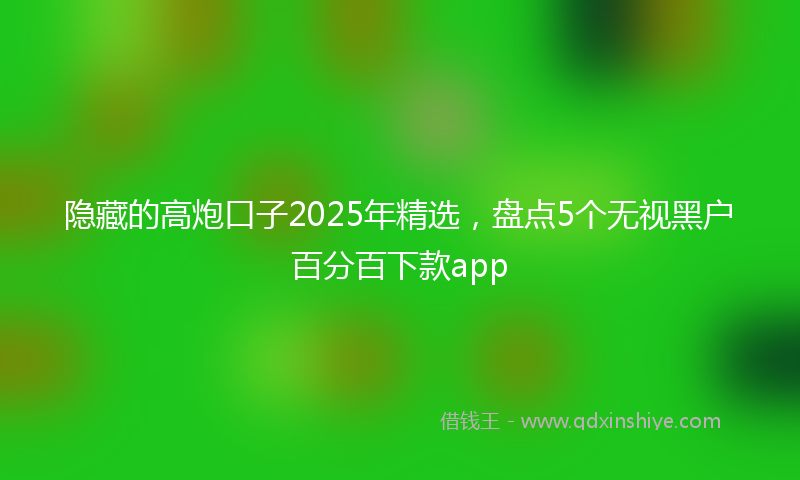隐藏的高炮口子2025年精选，盘点5个无视黑户百分百下款app