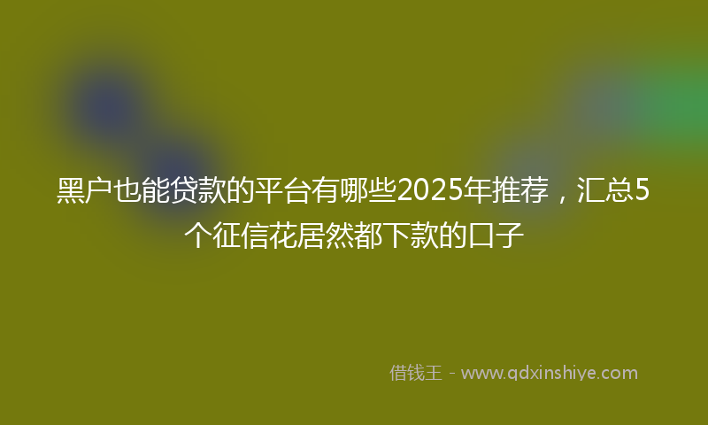 黑户也能贷款的平台有哪些2025年推荐，汇总5个征信花居然都下款的口子