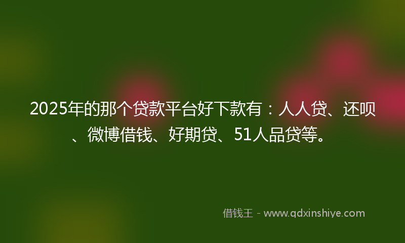 2025年的那个贷款平台好下款有：人人贷、还呗、微博借钱、好期贷、51人品贷等。