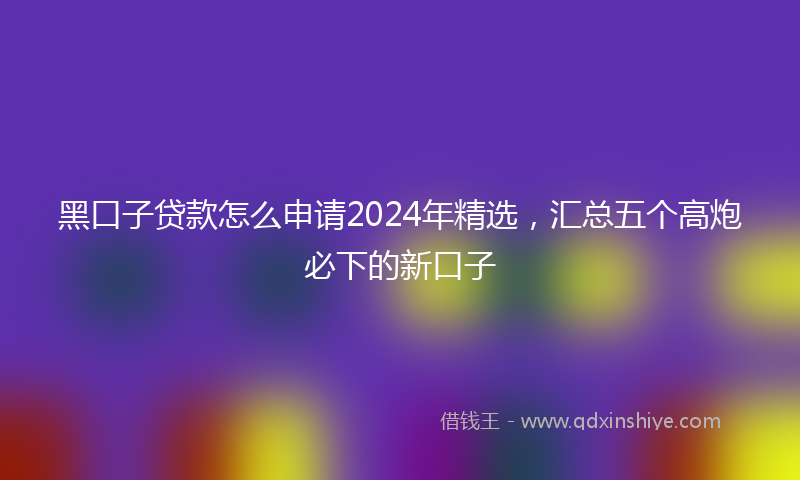 黑口子贷款怎么申请2024年精选，汇总五个高炮必下的新口子