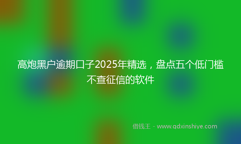 高炮黑户逾期口子2025年精选，盘点五个低门槛不查征信的软件