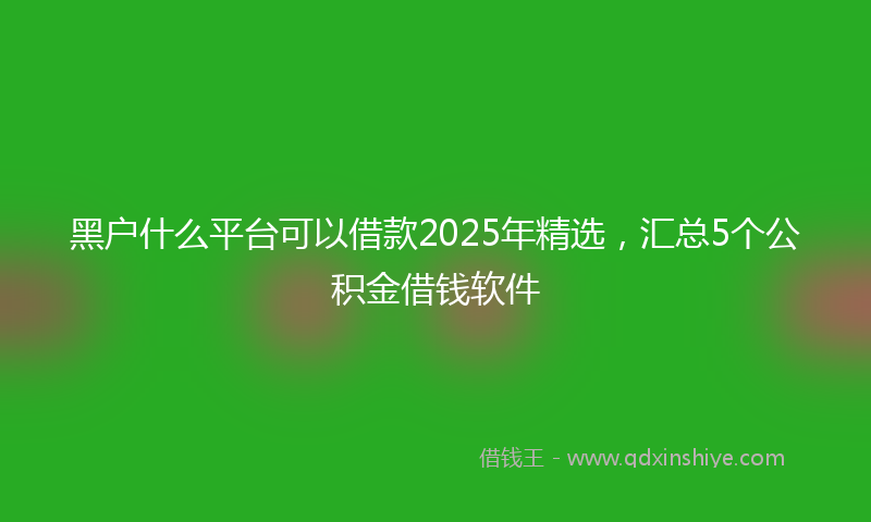 黑户什么平台可以借款2025年精选，汇总5个公积金借钱软件