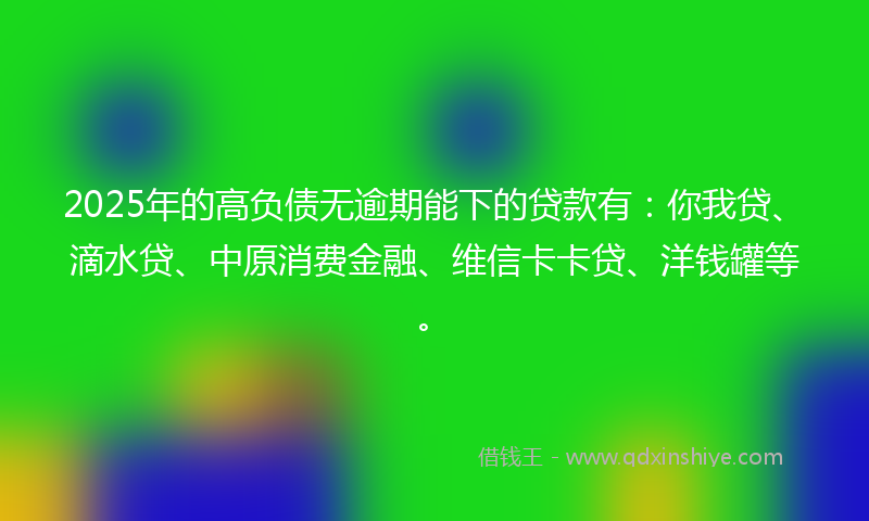 2025年的高负债无逾期能下的贷款有：你我贷、滴水贷、中原消费金融、维信卡卡贷、洋钱罐等。