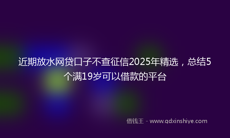 近期放水网贷口子不查征信2025年精选，总结5个满19岁可以借款的平台