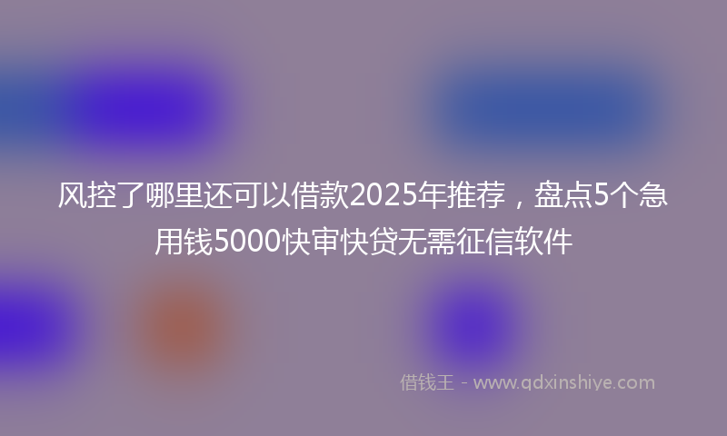 风控了哪里还可以借款2025年推荐，盘点5个急用钱5000快审快贷无需征信软件