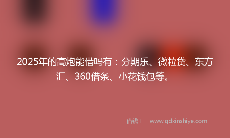 2025年的高炮能借吗有：分期乐、微粒贷、东方汇、360借条、小花钱包等。