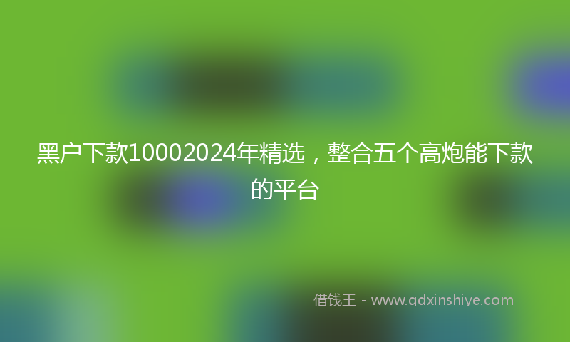 黑户下款10002024年精选，整合五个高炮能下款的平台