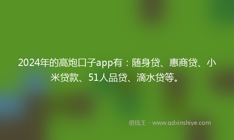 2024年的高炮口子app有：随身贷、惠商贷、小米贷款、51人品贷、滴水贷等。
