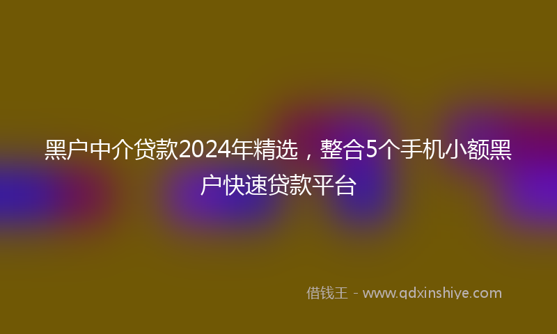 黑户中介贷款2024年精选，整合5个手机小额黑户快速贷款平台
