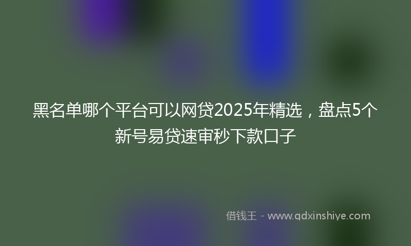 黑名单哪个平台可以网贷2025年精选，盘点5个新号易贷速审秒下款口子