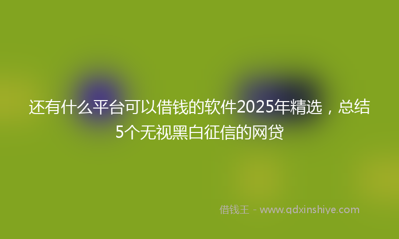 还有什么平台可以借钱的软件2025年精选，总结5个无视黑白征信的网贷