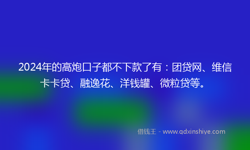 2024年的高炮口子都不下款了有：团贷网、维信卡卡贷、融逸花、洋钱罐、微粒贷等。