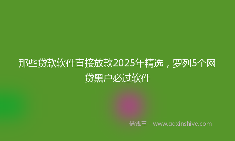 那些贷款软件直接放款2025年精选，罗列5个网贷黑户必过软件