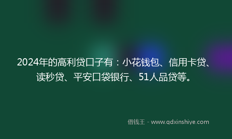 2024年的高利贷口子有：小花钱包、信用卡贷、读秒贷、平安口袋银行、51人品贷等。