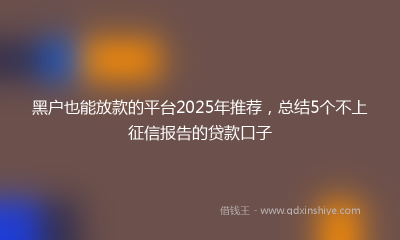 黑户也能放款的平台2025年推荐，总结5个不上征信报告的贷款口子