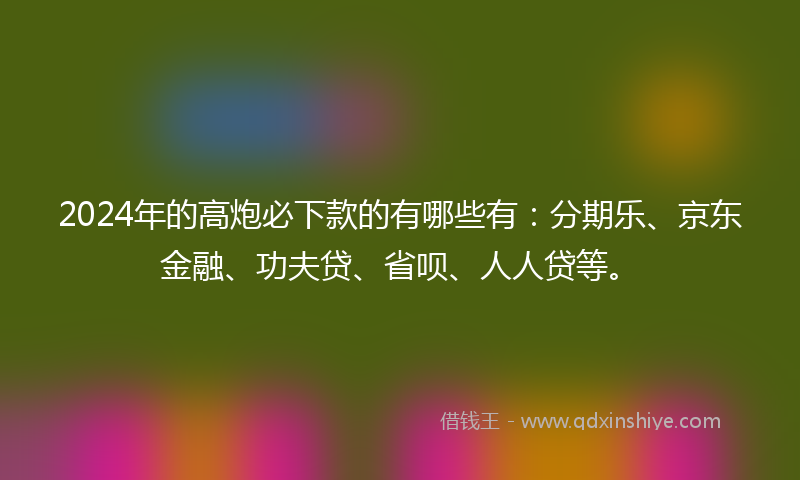 2024年的高炮必下款的有哪些有：分期乐、京东金融、功夫贷、省呗、人人贷等。
