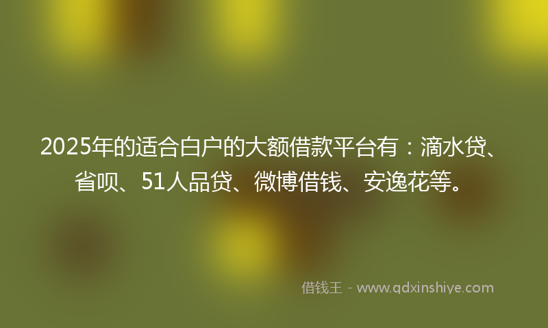 2025年的适合白户的大额借款平台有：滴水贷、省呗、51人品贷、微博借钱、安逸花等。