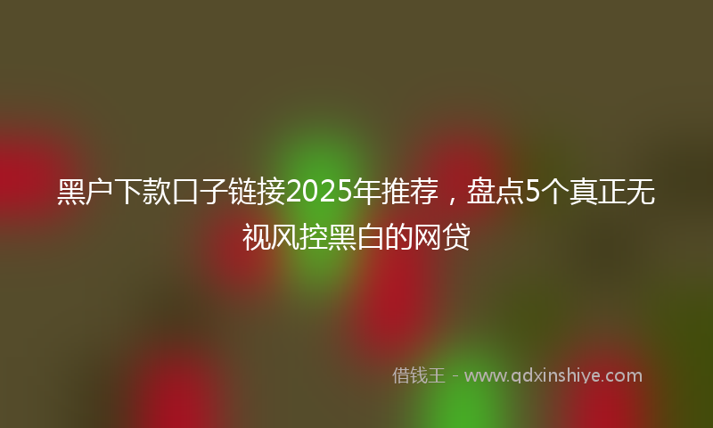 黑户下款口子链接2025年推荐，盘点5个真正无视风控黑白的网贷