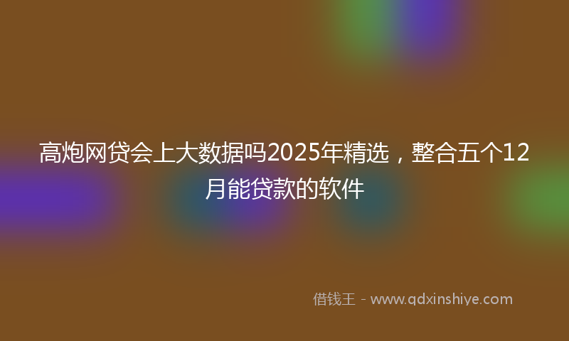 高炮网贷会上大数据吗2025年精选，整合五个12月能贷款的软件