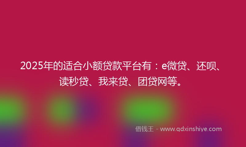 2025年的适合小额贷款平台有：e微贷、还呗、读秒贷、我来贷、团贷网等。