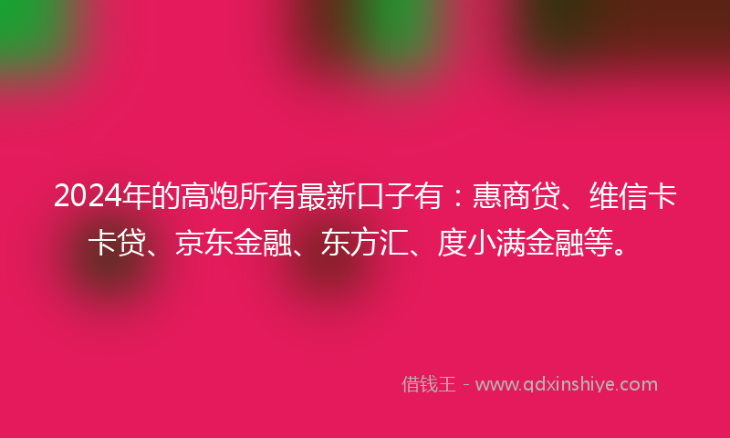 2024年的高炮所有最新口子有：惠商贷、维信卡卡贷、京东金融、东方汇、度小满金融等。