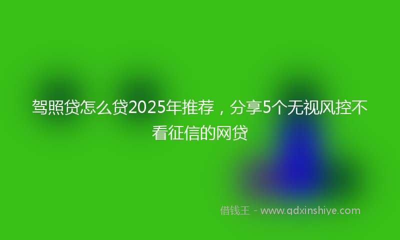 驾照贷怎么贷2025年推荐，分享5个无视风控不看征信的网贷