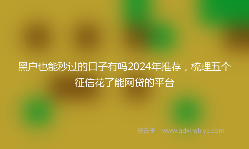 黑户也能秒过的口子有吗2024年推荐，梳理五个征信花了能网贷的平台