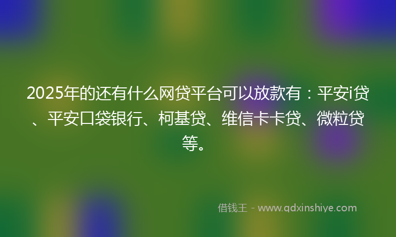 2025年的还有什么网贷平台可以放款有：平安i贷、平安口袋银行、柯基贷、维信卡卡贷、微粒贷等。