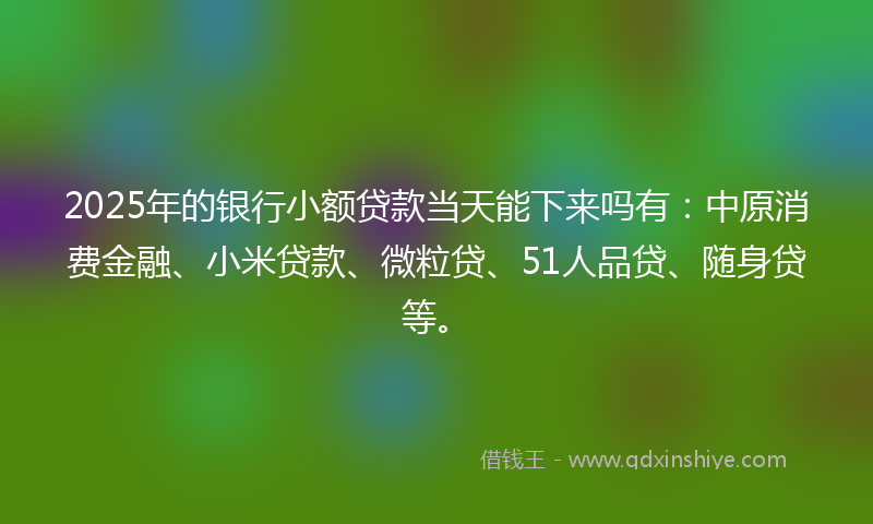 2025年的银行小额贷款当天能下来吗有：中原消费金融、小米贷款、微粒贷、51人品贷、随身贷等。