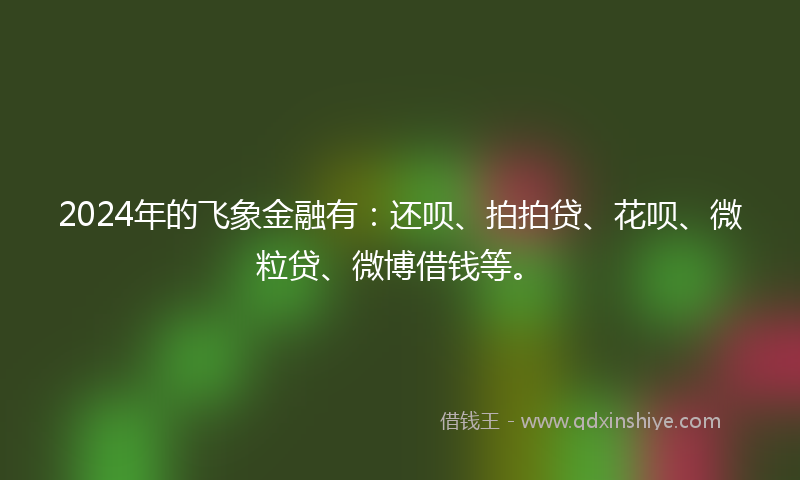2024年的飞象金融有：还呗、拍拍贷、花呗、微粒贷、微博借钱等。