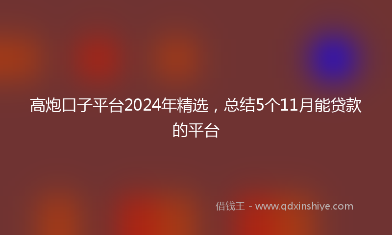 高炮口子平台2024年精选，总结5个11月能贷款的平台