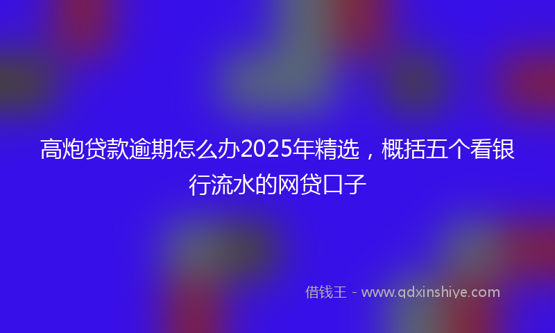高炮贷款逾期怎么办2025年精选，概括五个看银行流水的网贷口子