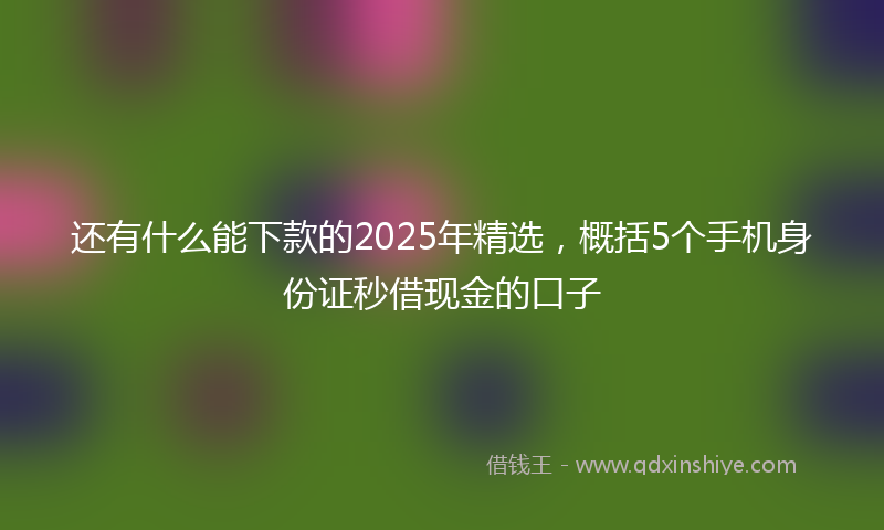 还有什么能下款的2025年精选，概括5个手机身份证秒借现金的口子
