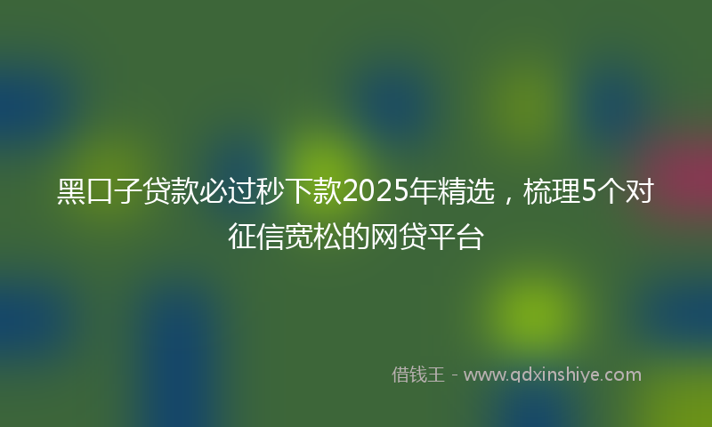 黑口子贷款必过秒下款2025年精选，梳理5个对征信宽松的网贷平台
