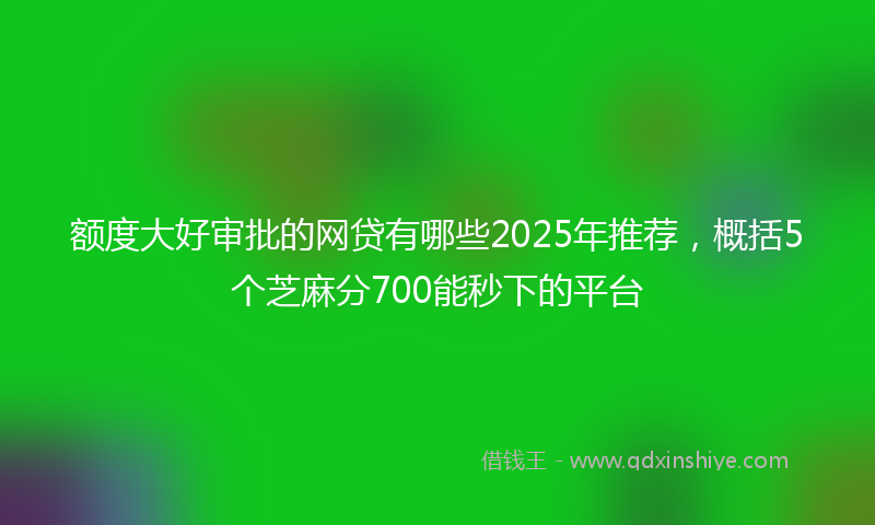 额度大好审批的网贷有哪些2025年推荐，概括5个芝麻分700能秒下的平台