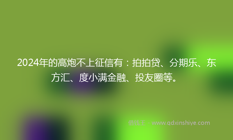 2024年的高炮不上征信有：拍拍贷、分期乐、东方汇、度小满金融、投友圈等。