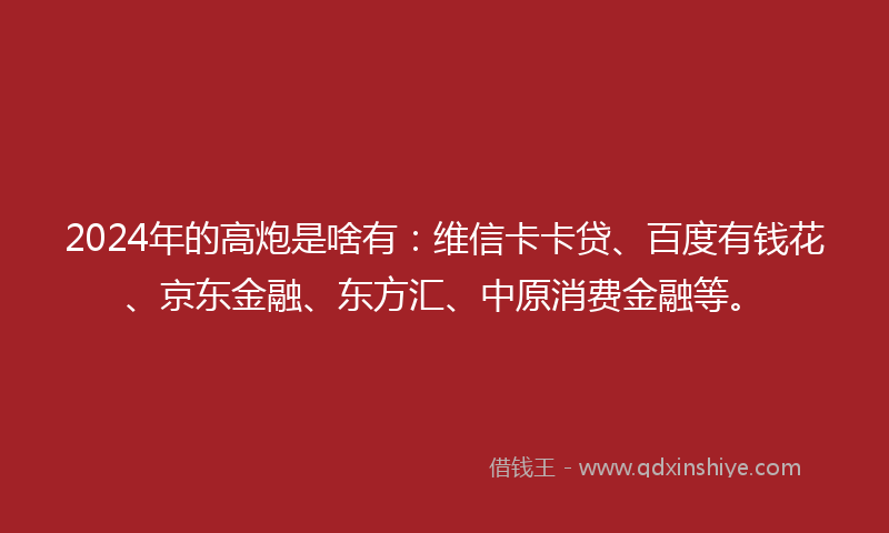 2024年的高炮是啥有：维信卡卡贷、百度有钱花、京东金融、东方汇、中原消费金融等。