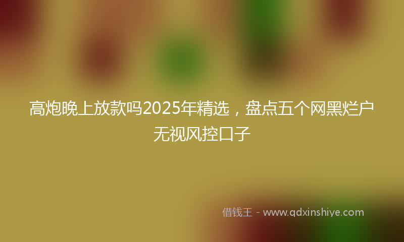 高炮晚上放款吗2025年精选，盘点五个网黑烂户无视风控口子