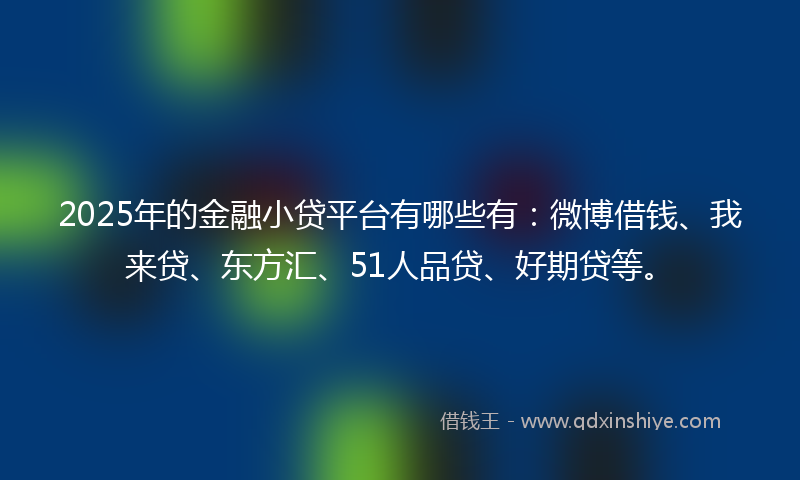 2025年的金融小贷平台有哪些有：微博借钱、我来贷、东方汇、51人品贷、好期贷等。
