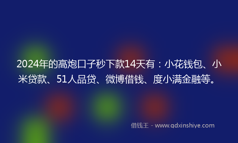 2024年的高炮口子秒下款14天有：小花钱包、小米贷款、51人品贷、微博借钱、度小满金融等。
