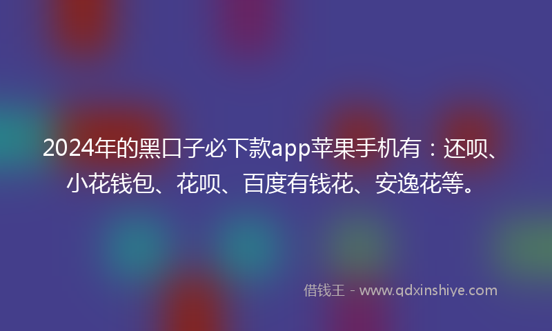 2024年的黑口子必下款app苹果手机有：还呗、小花钱包、花呗、百度有钱花、安逸花等。