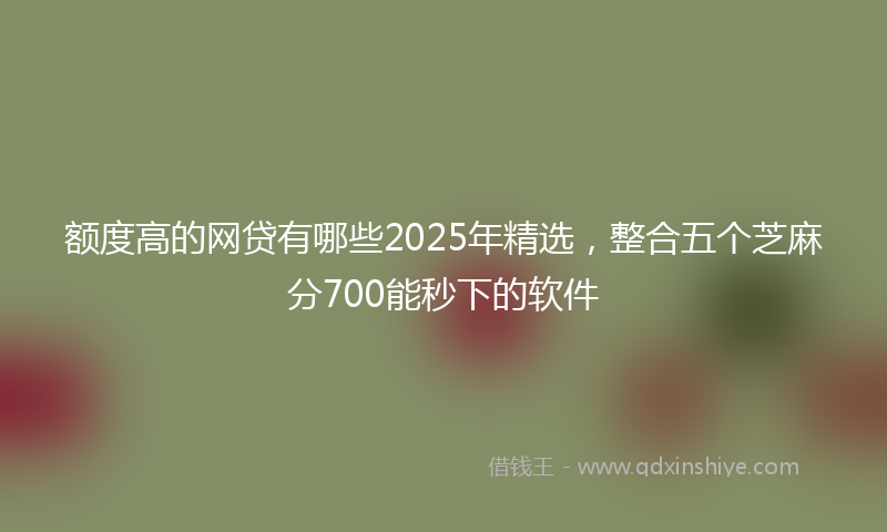 额度高的网贷有哪些2025年精选，整合五个芝麻分700能秒下的软件