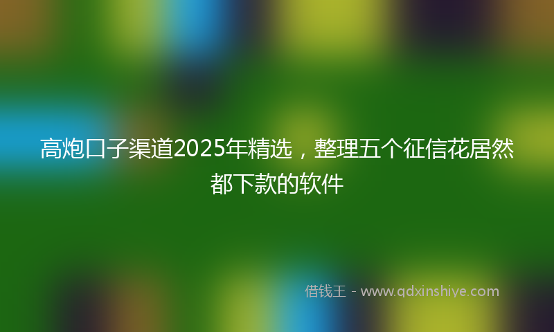 高炮口子渠道2025年精选，整理五个征信花居然都下款的软件
