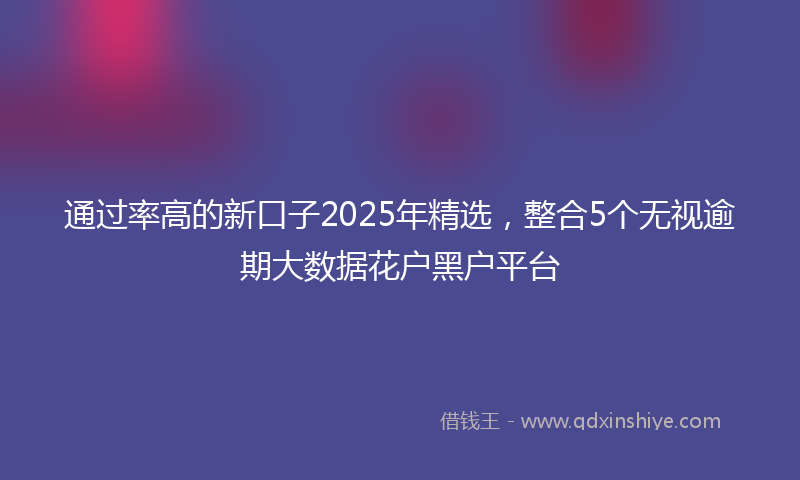 通过率高的新口子2025年精选，整合5个无视逾期大数据花户黑户平台